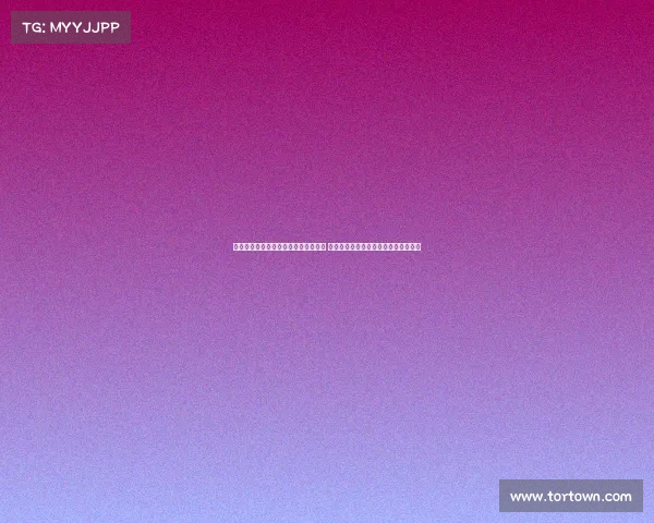 纳什与诺维茨基对话职业生涯续航秘诀 现代训练与饮食方式助力突破寿命极限